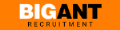 BIG ANT Group Recruitment Specialists